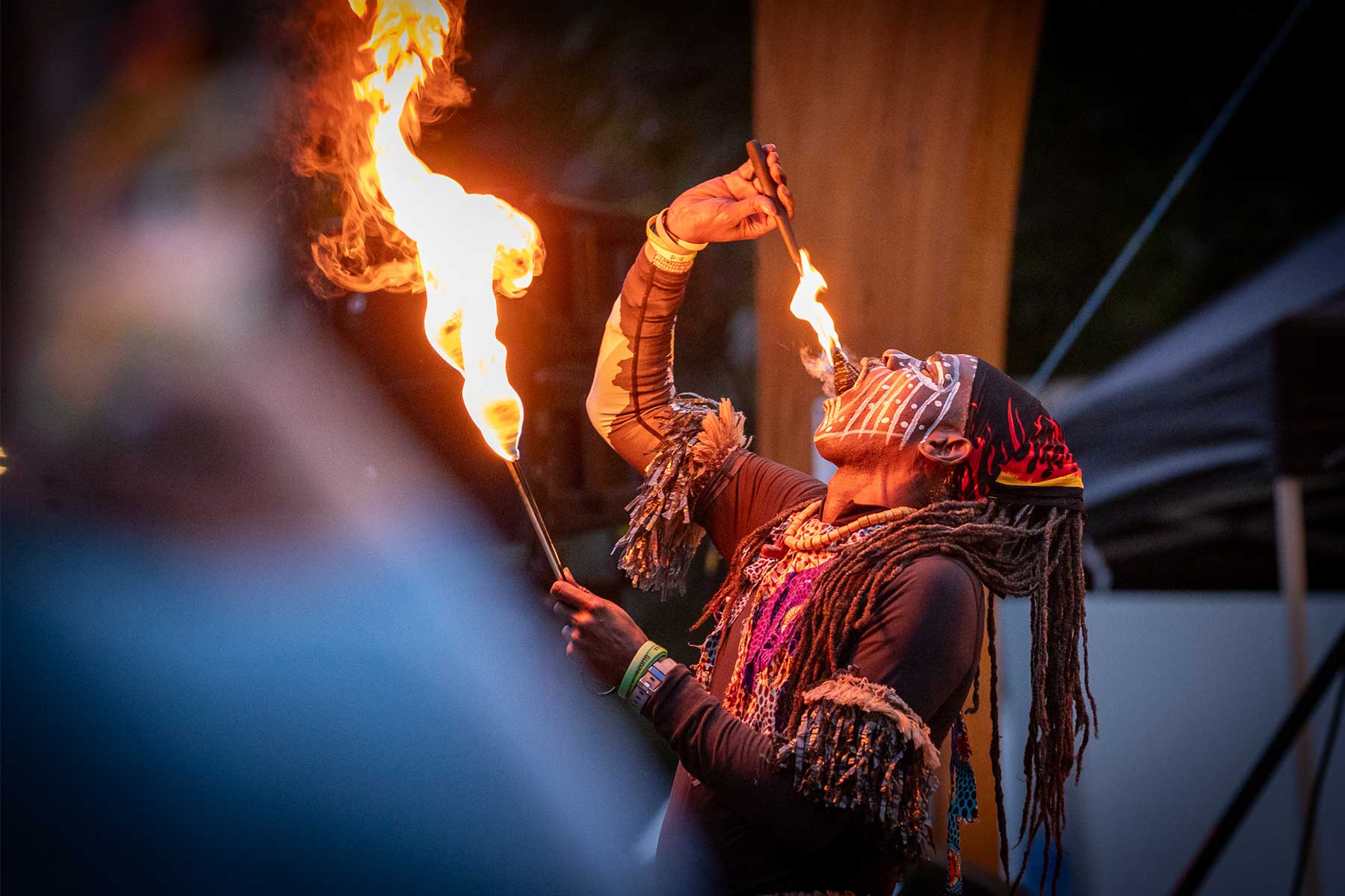 Afro-CariBrant Unites Cultures in Celebration